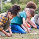 bushcraft skills for primary schools